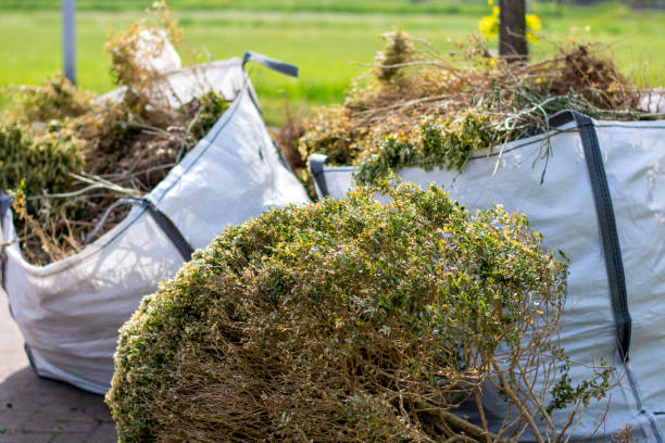 Best Mattress Removal Service  in Follansbee, WV
